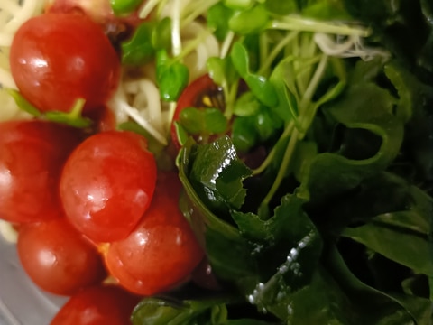 わかめとミニトマトとかいわれ大根のざるラーメン